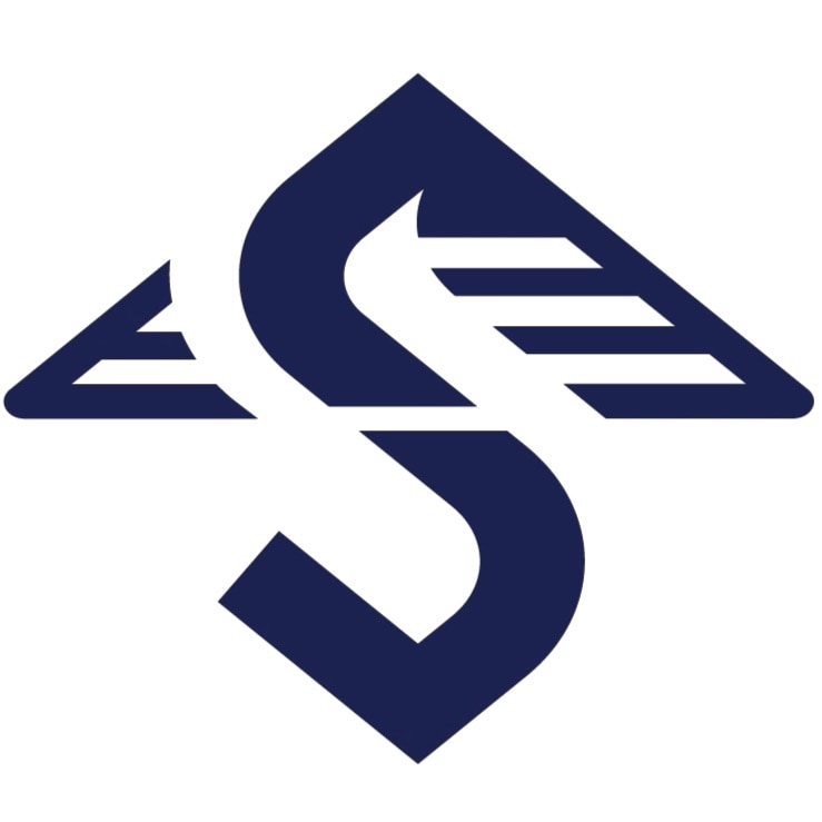 反転させたロゴ